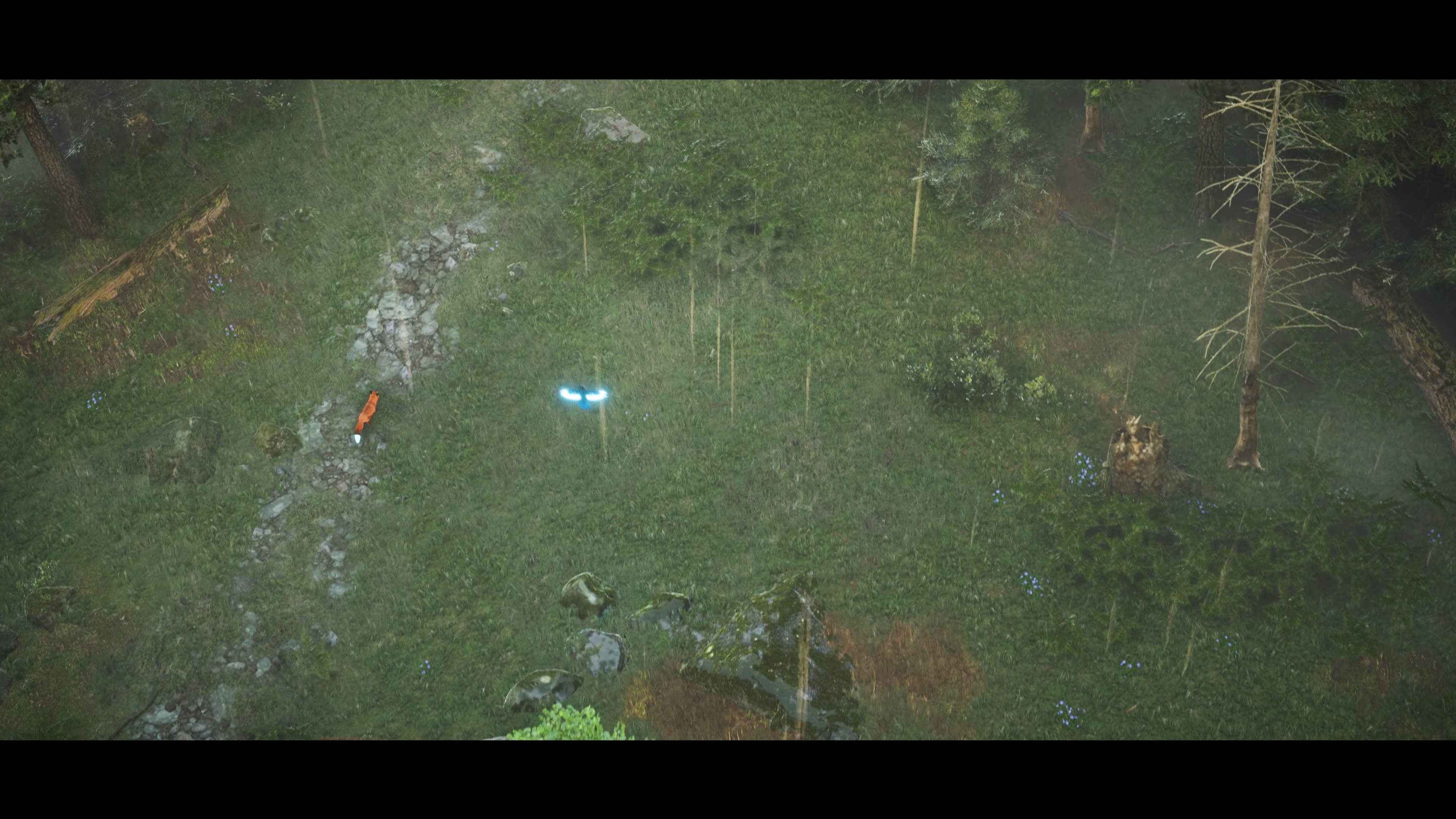 game-images/Spirit_of_the_North_2_screenshots_1176506.jpg