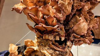 A Bakery Creates Amazing and Scary Bread Sculpture of The Last of Us Clicker