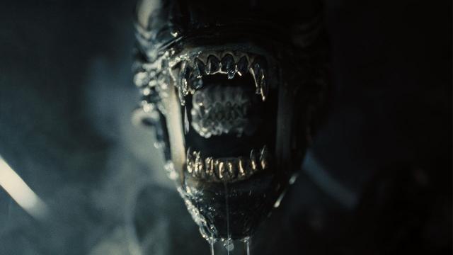 Alien: de aarde zal xenomorfen hebben – Hawley belooft meer angst