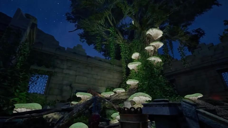 Avowed stuns with epic fights & choices, hits Xbox Fall '24