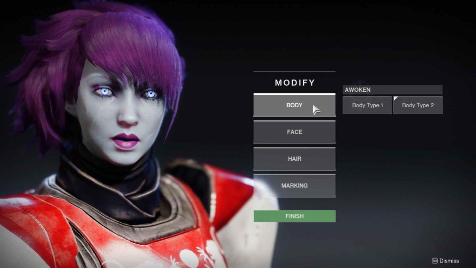 Destiny 2 update: edit your character's look
