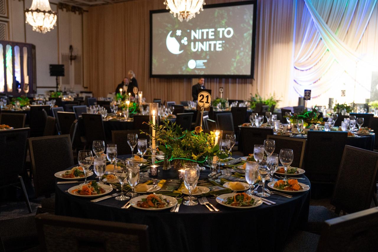 ESA Foundation's Nite to Unite Raises $1.15 Million