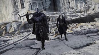 Elden Ring: Nightreign Stats Show Artorias Still Captivates Fans