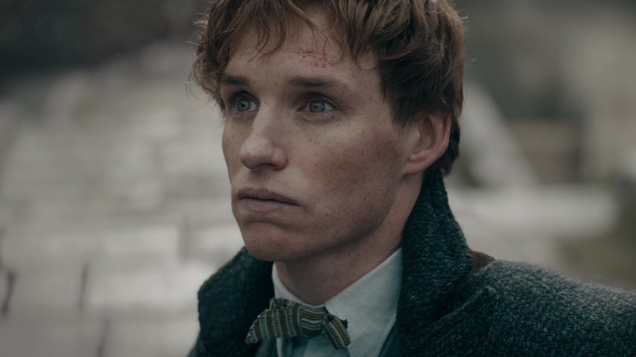 Harry Potter Director States Fantastic Beasts Is On Hold For Now
