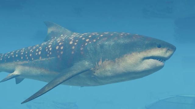 Megalodon Swims Into Jurassic World Evolution 3—Avoid Punching