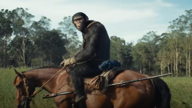 New Game Title: Kingdom of Apes and Horses