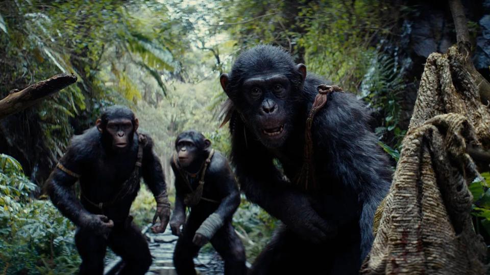 Planet of the Apes Movie Filmed Mostly Outdoors