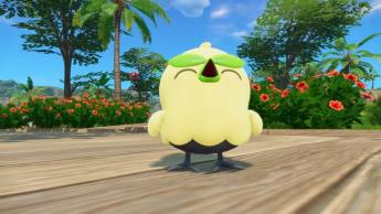 Pokémon Fans Buzz Over Winds and Waves - We Got the Angry Bird