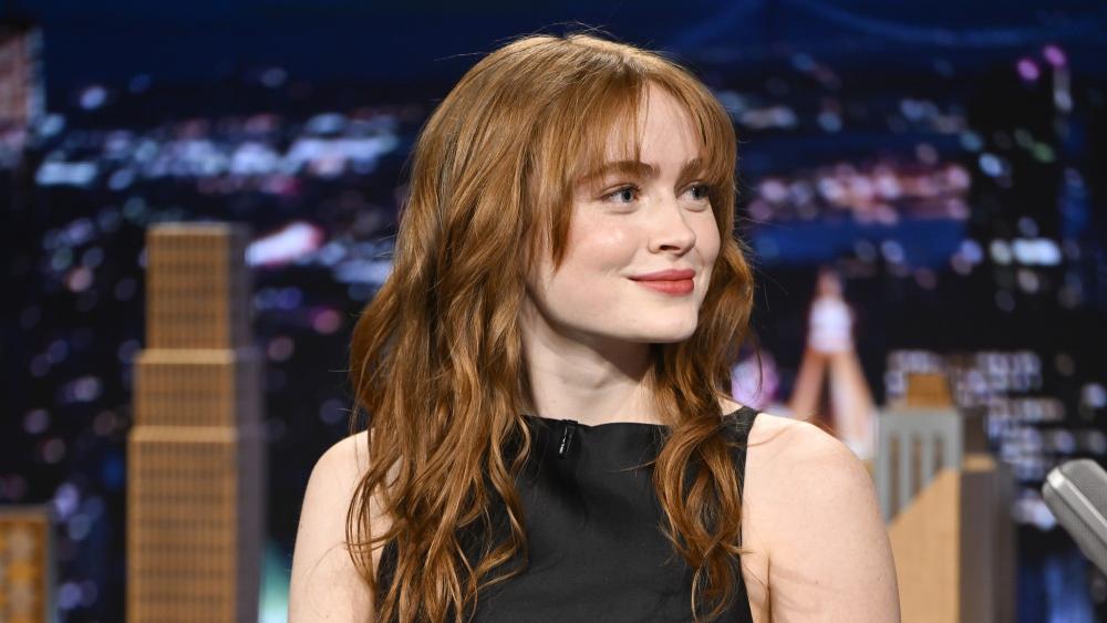 Sadie Sink Shares Wild Take on Eleven's Unexpected Ending