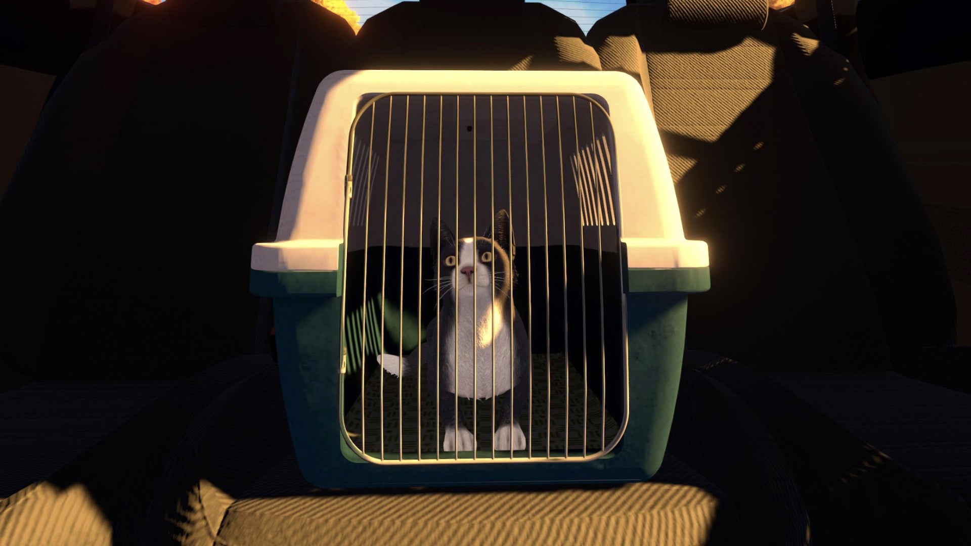 "Spoonful of Wonder Launches Game 'Copycat' for Multiple Platforms"