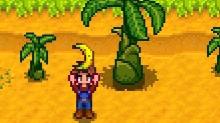 Stardew Valley Creator Offers Free Collaborations for Players