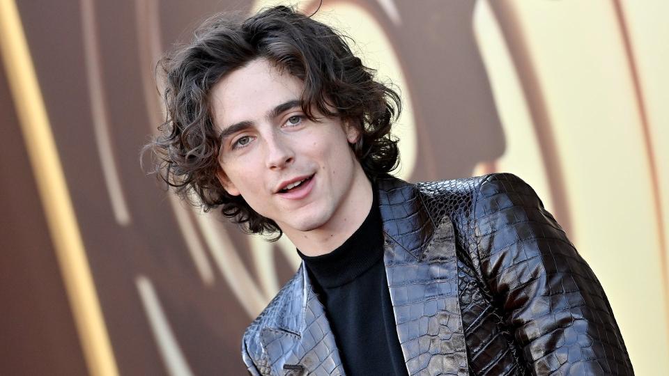 Timothee Chalamet: Spider-man 2 wins, GTA 6 gnarly