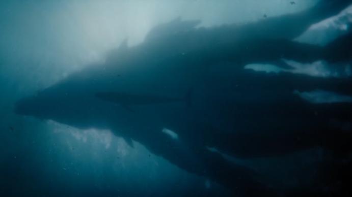 Titan X Joins the Monsterverse in Monarch: Legacy of Monsters S2