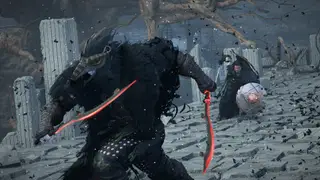 Crimson Desert: success and controversies in the gaming world