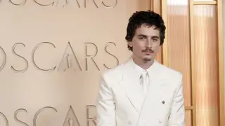 Timothée Chalamet and the impact on the art world