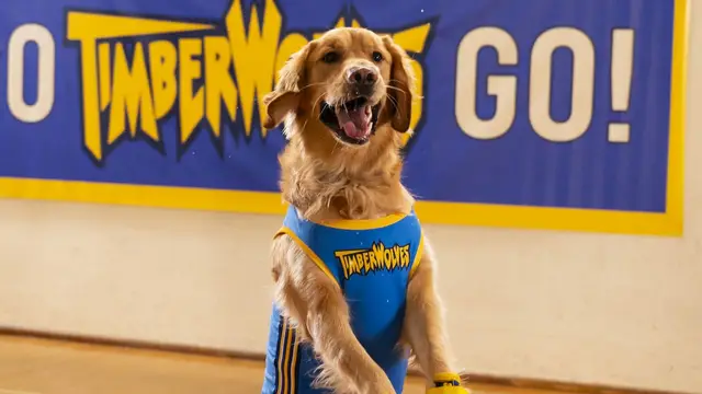 Air Bud Returns: Buddy's death and the new protagonist
