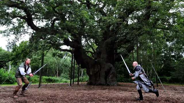 Major Oak in Sherwood Forest dead: impact on heritage and tourism