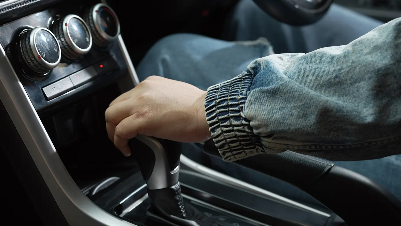Manual-transmission vehicles and brain function: insights from Nintendo's Brain Training