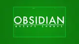 Obsidian's new Fallout game: what does this mean for players?