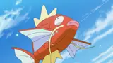 PokePark Fishing Contest DS cartridge sold for 9,505 euros on eBay