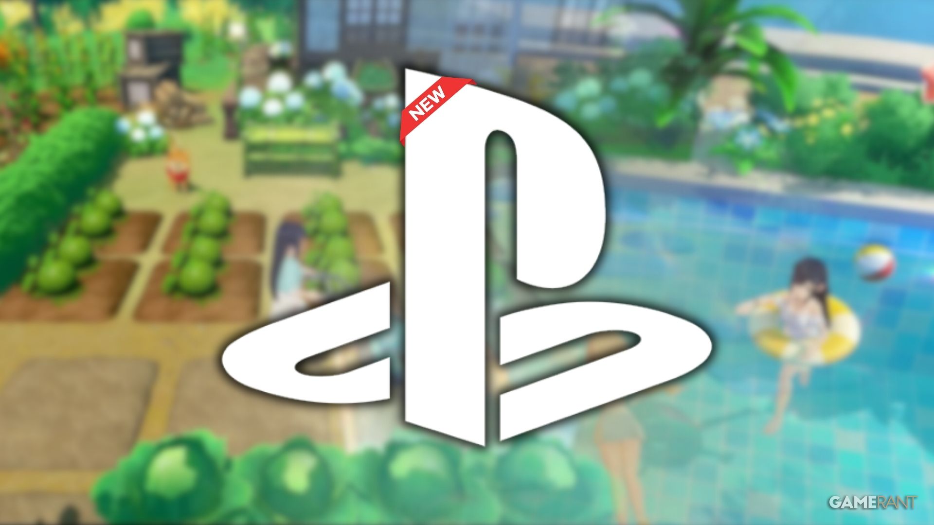 Starsand Island: multiplayer and release dates for PS5 and Xbox