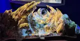 Avatar boat ride attraction: impact on Disney California Adventure and visitors