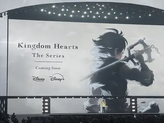 Kingdom Hearts animated series: what does this mean for fans?