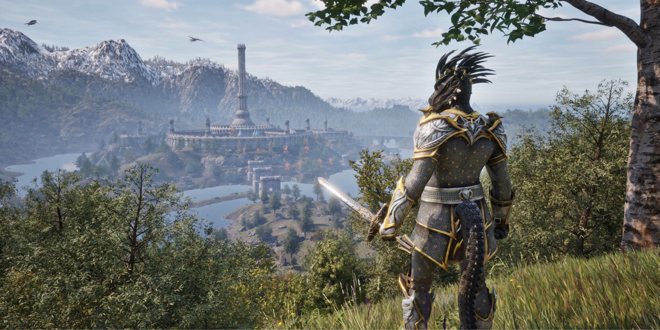 Elder Scrolls 6: official title and setting revealed