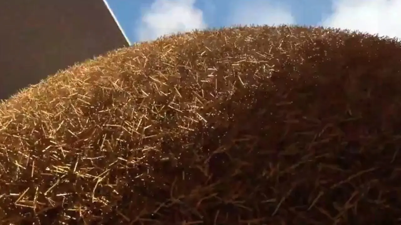Find the needle in a haystack: innovative game concept from Studio BitDot