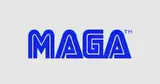 Arcade.Gov: the gamification of immigration policy and its impact on players